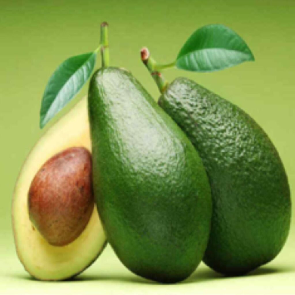 Palta Bacon- Misky Palta