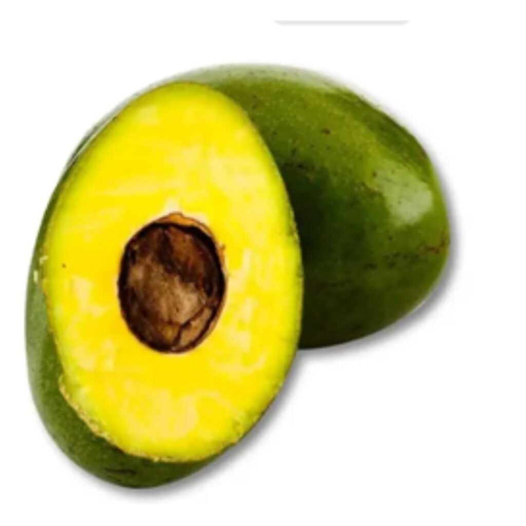 Palta Choquette - Misky Palta