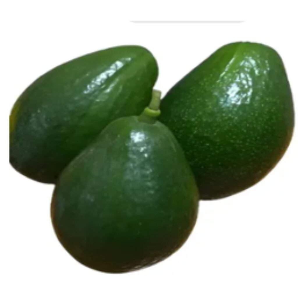 Palta Criolla-MiskyPalta