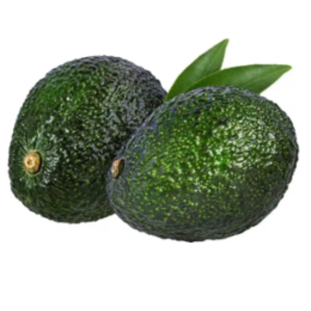 Palta Gwen - Misky Palta