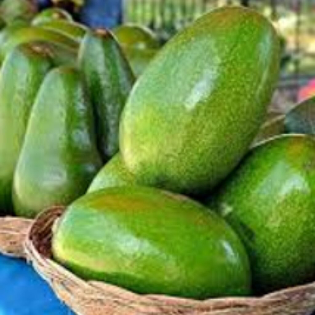 Palta Linda - Misky Palta