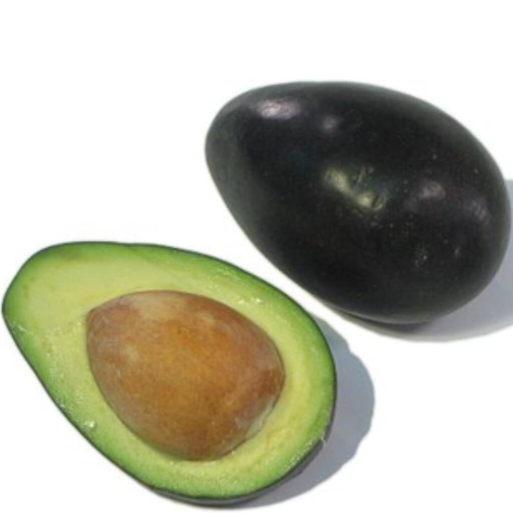 Palta Negra de la Cruz - Misky Palta