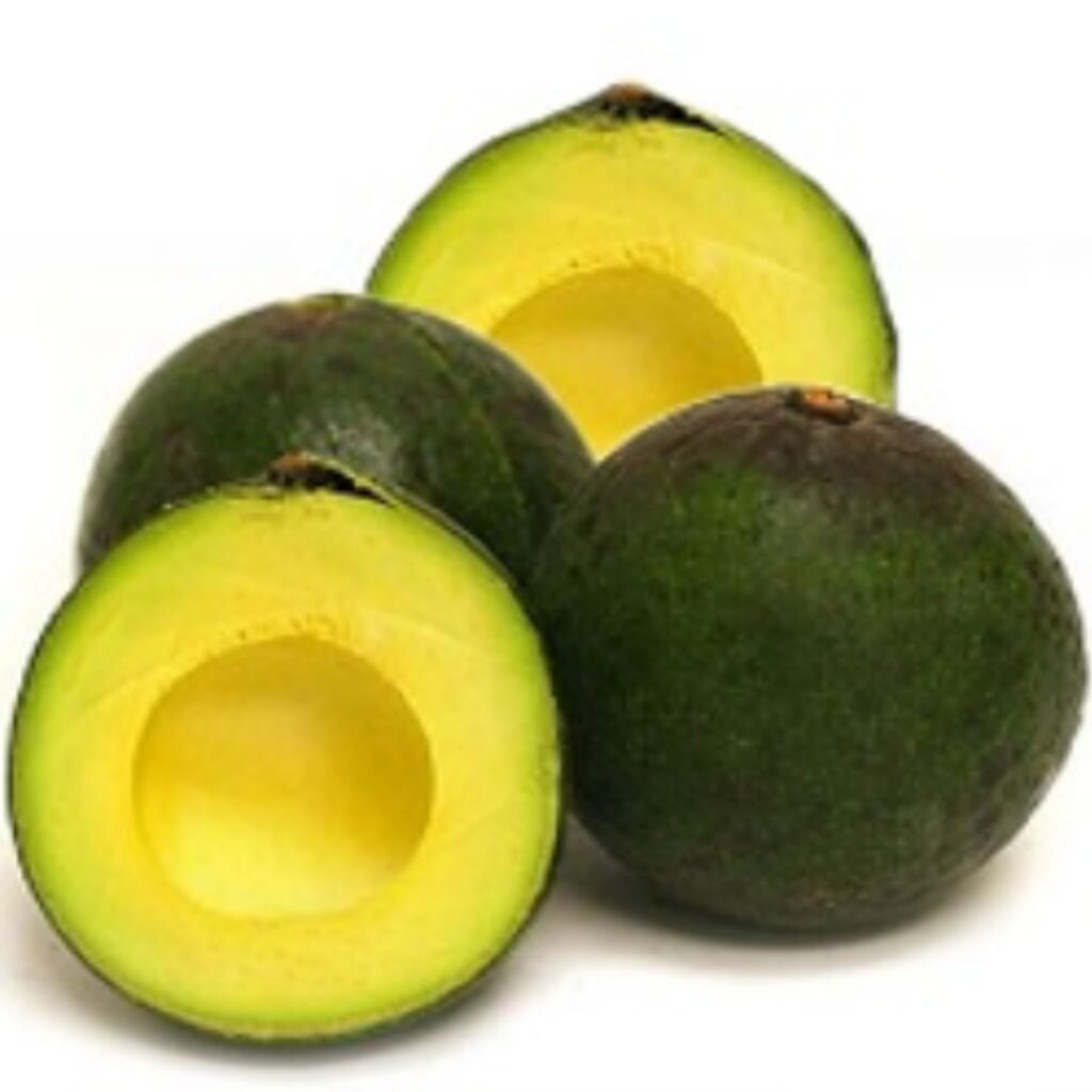 Palta Reed - Misky Palta