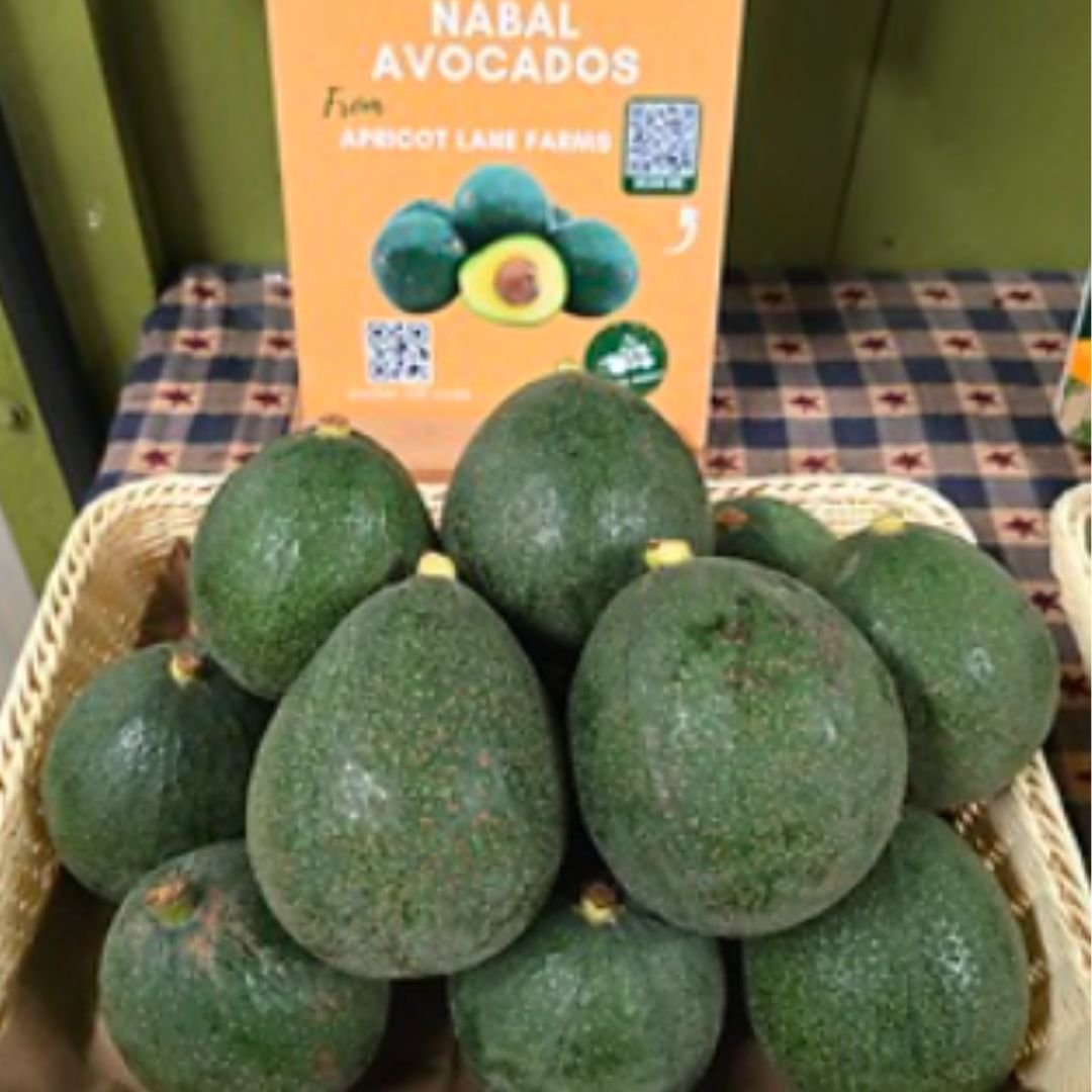 Palta Nabal - Misky Palta - Imagen 2